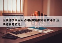 区块链技术巨头公司区块链技术开发评价[区块链领先公司]